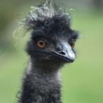 Life Lately + My Favorite Coffee for the New Year