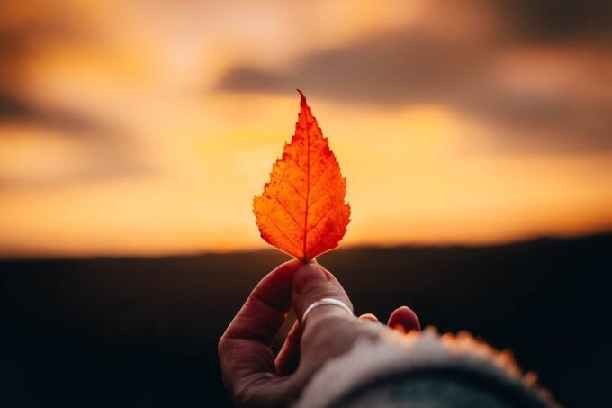 A comprehensive guide to the best summer dresses