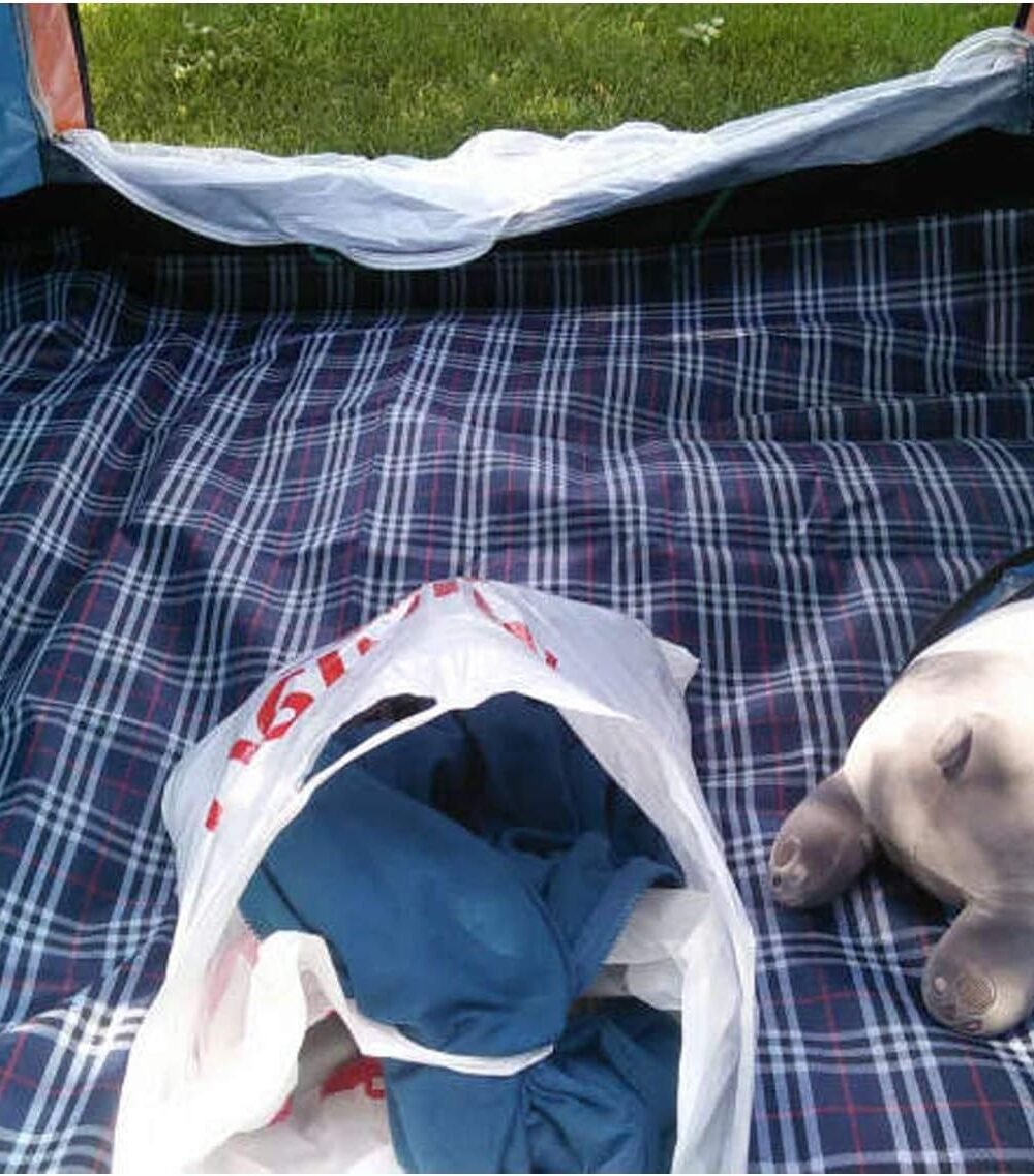 Waterproof Picnic Blanket With Carry Strap - Foldable Outdoo - Image 7