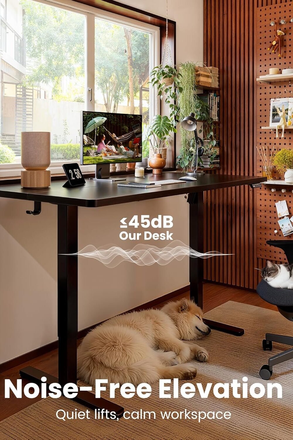 Ergear Djustable Electric Standg Desk - Black - Image 9