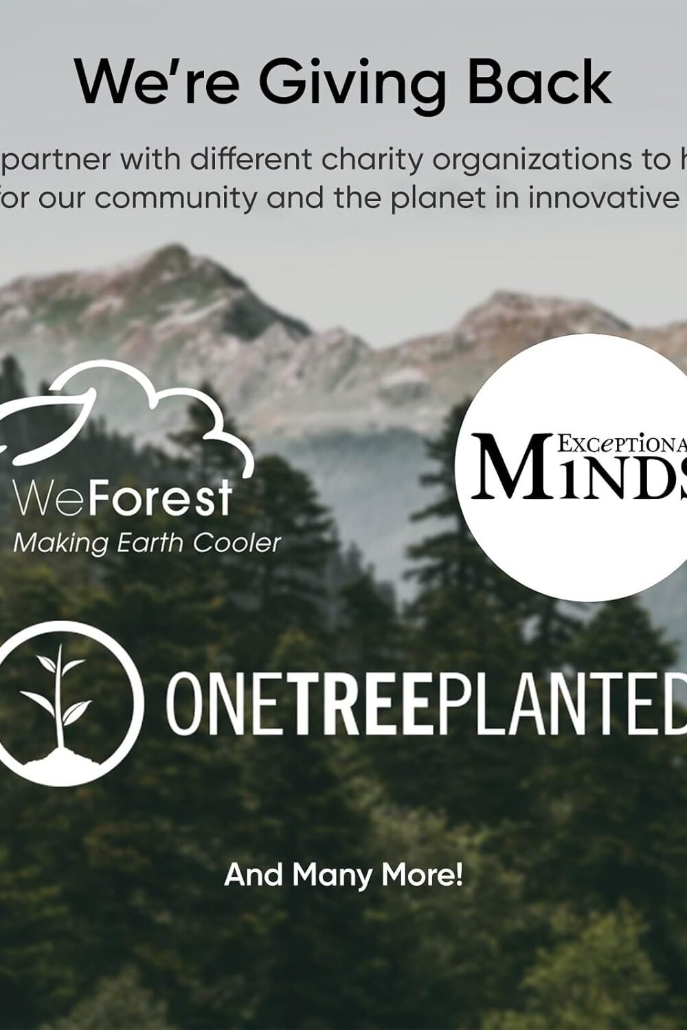 Etekcity High Precision Digital Bathroom Scale - Image 9