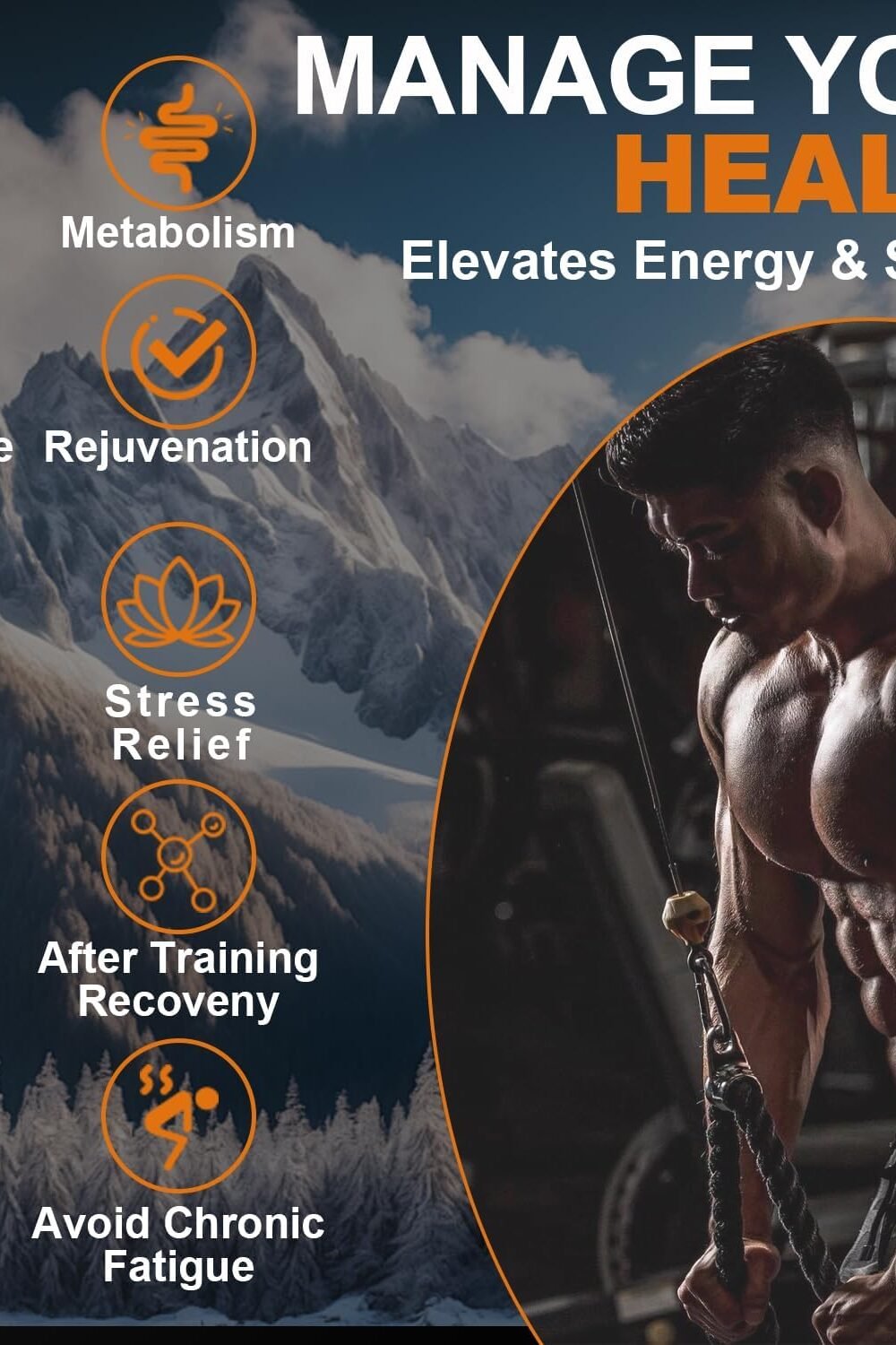 Pure Himalayan Shilajit Res - Gold Grade Energy Immunity - Image 5