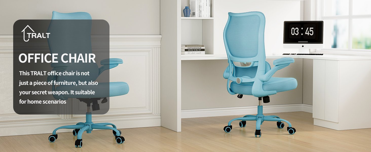 Ergonomic Office Chair with djustable Lumbar Support 582