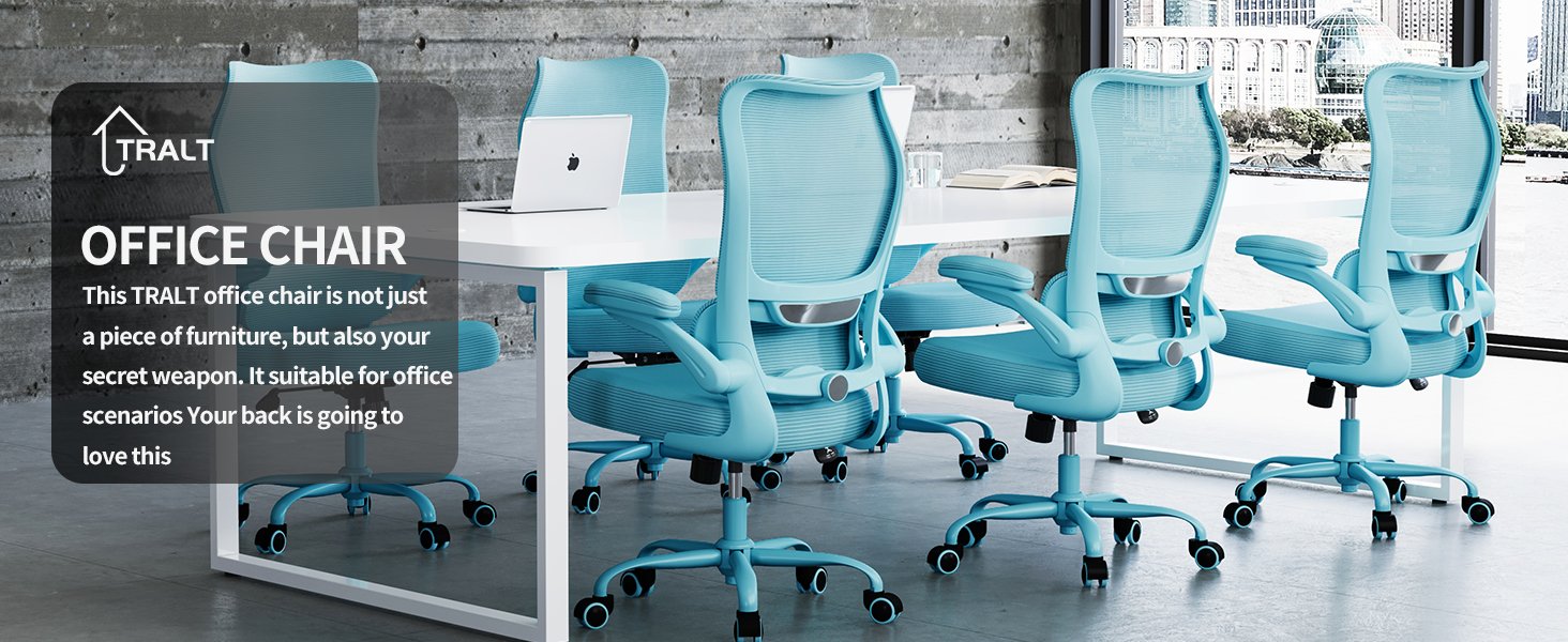 Ergonomic Office Chair with djustable Lumbar Support 581