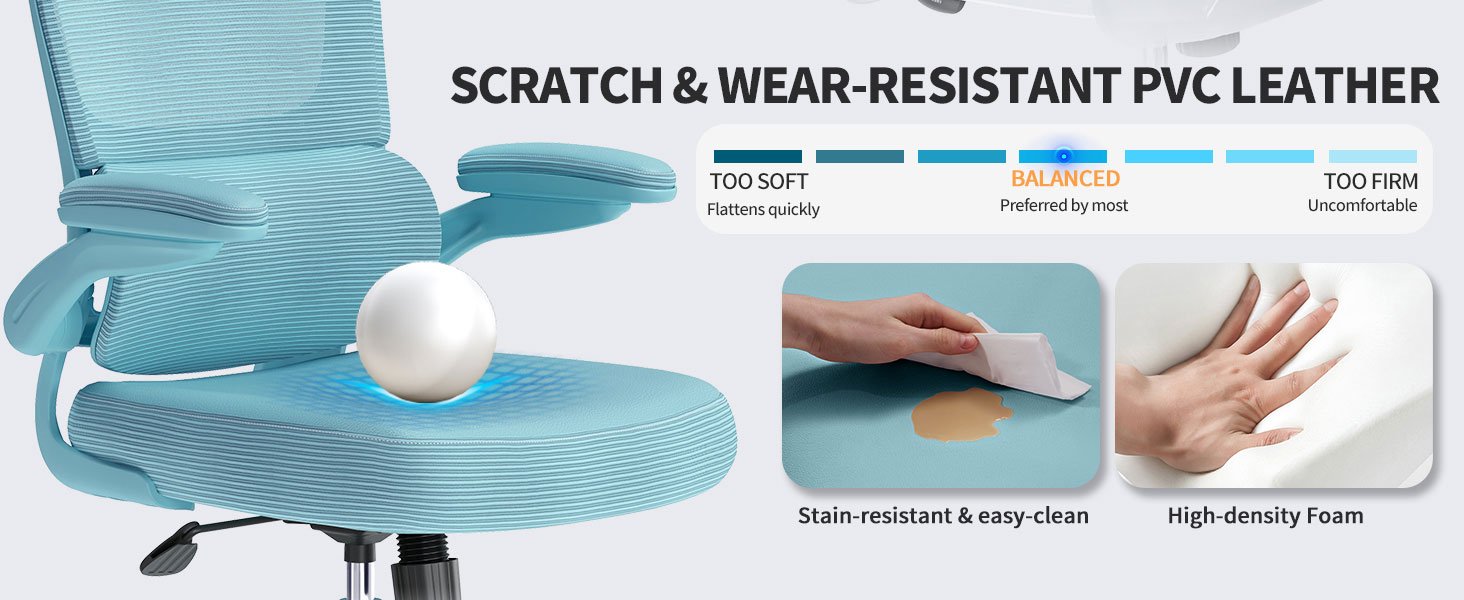 Ergonomic Office Chair with djustable Lumbar Support 586