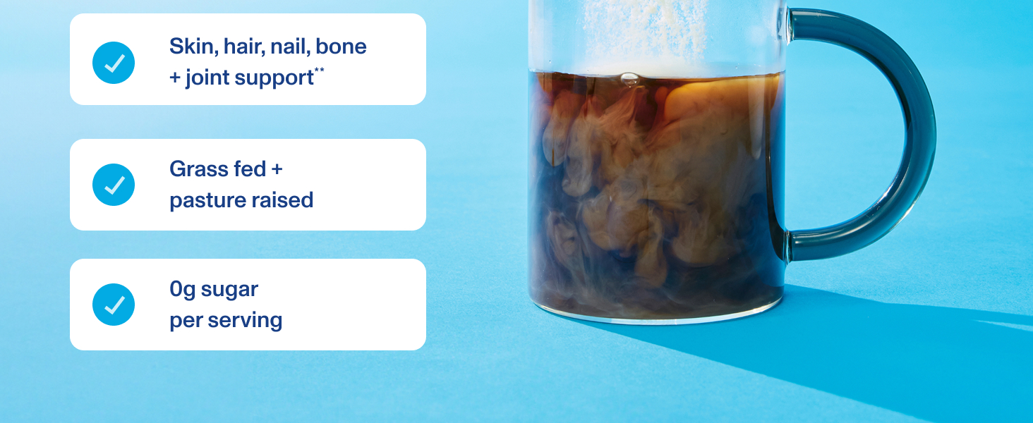 Vital Protes Collagen Peptides Powder - Unflavored 619