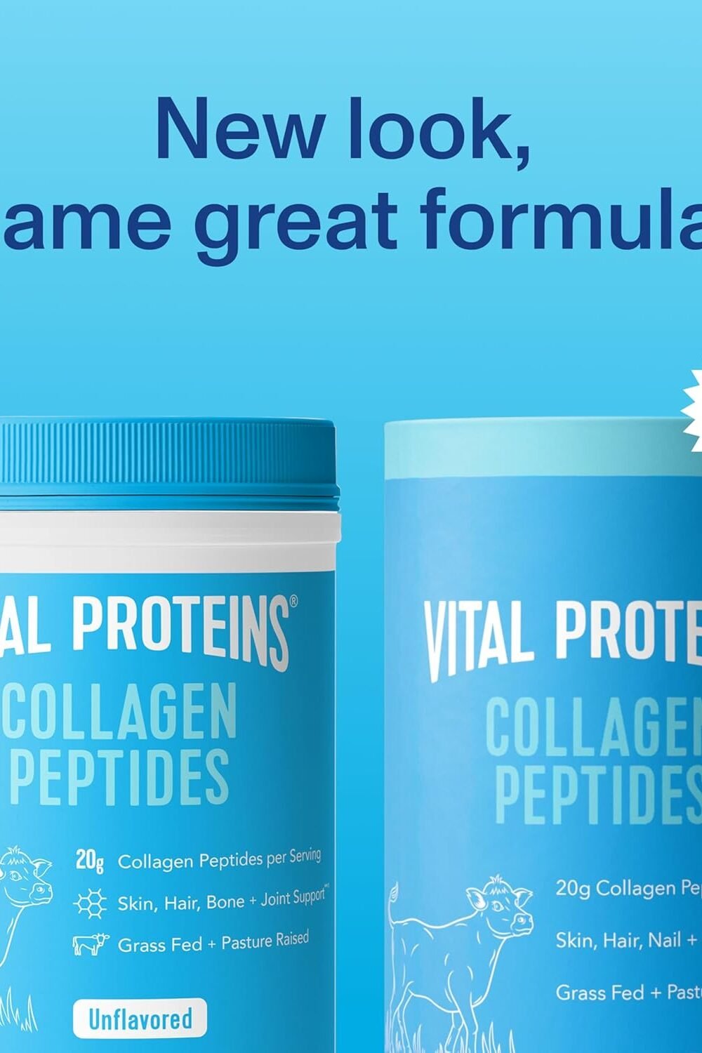 Vital Protes Collagen Peptides Powder - Unflavored 3 Vital Protes Collagen Peptides Powder - Unflavored - Image 3