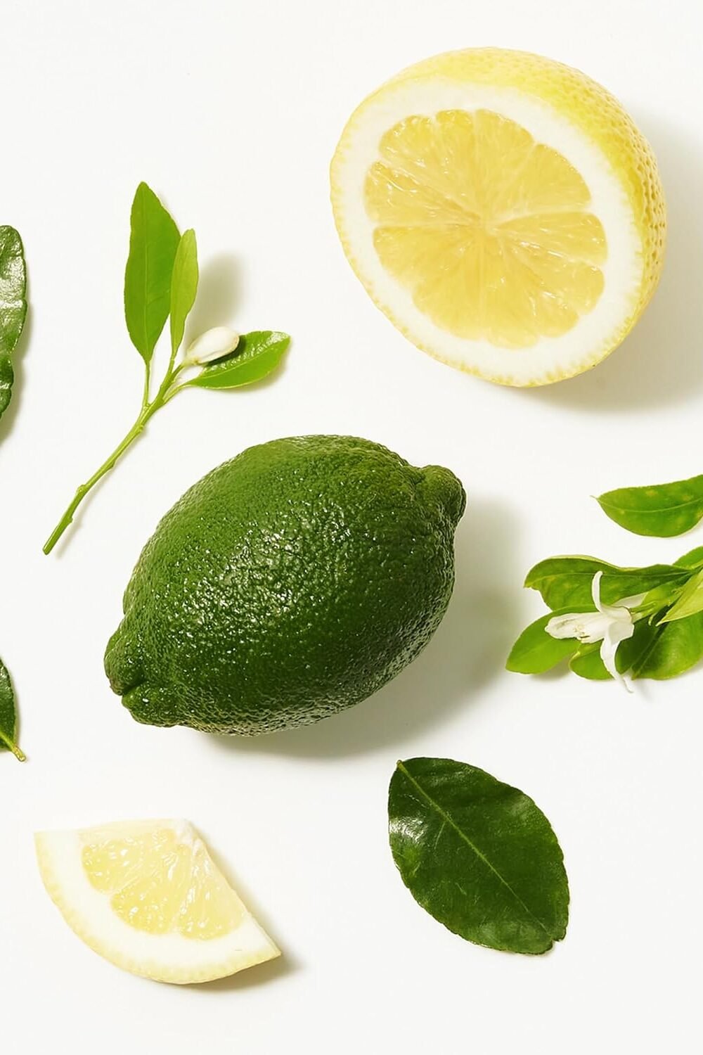 Not Your Mother'S Jumbo Dry Shampoo Value Pack 2-Pack 12 Oz - Image 8