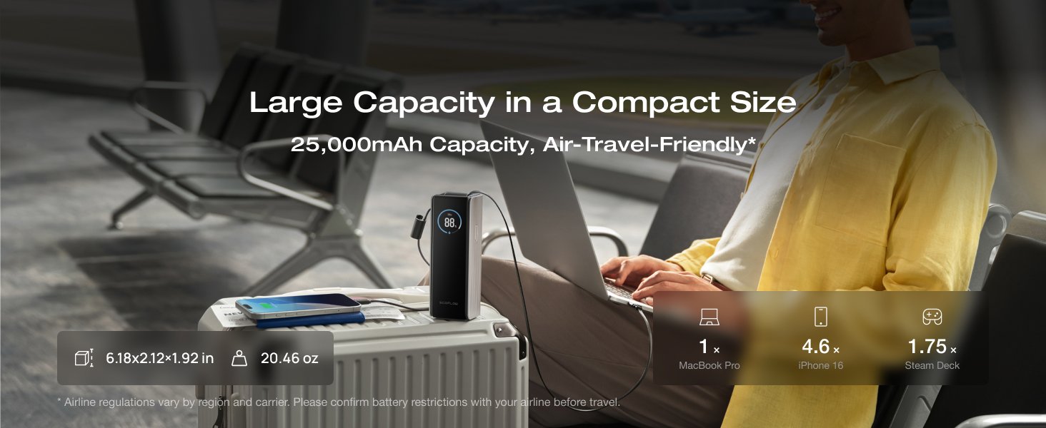 EF ECOFLOW Lapp Power Bank - Rapid Portable Charger with USB 633