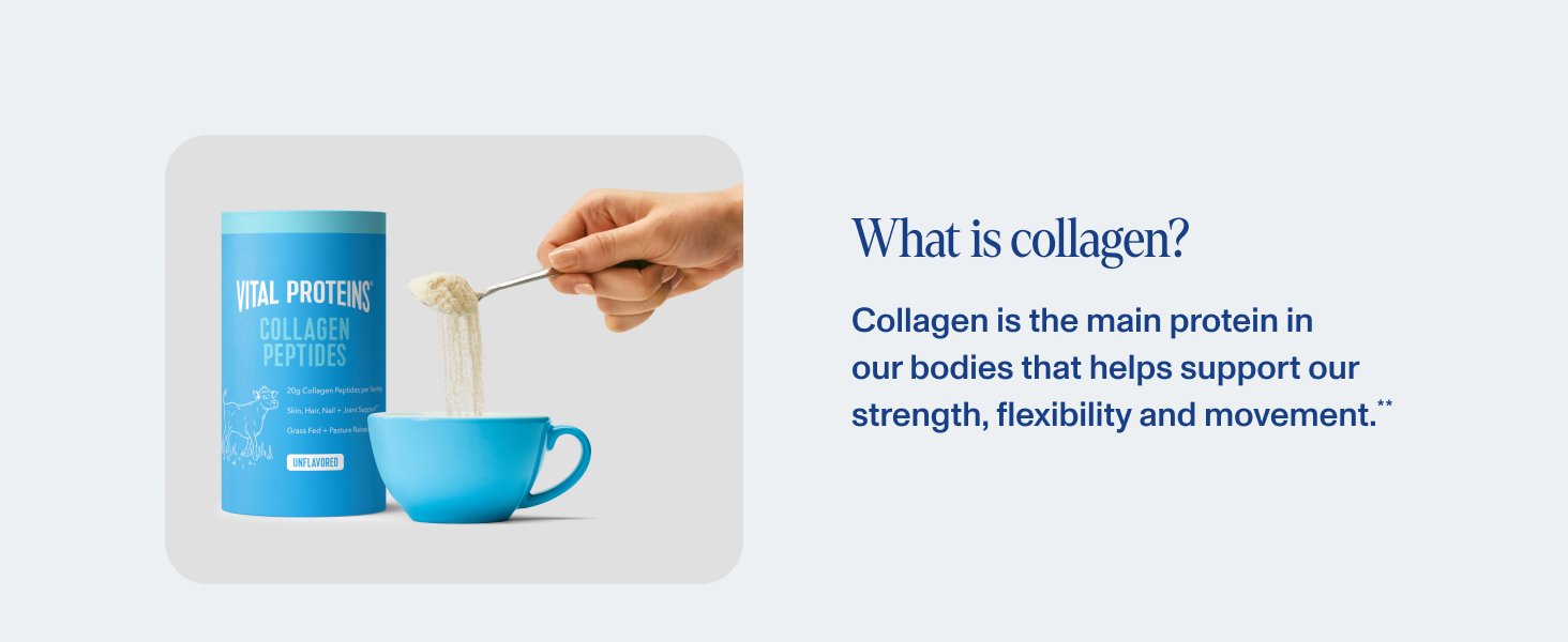 Vital Protes Collagen Peptides Powder - Unflavored 620