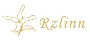 vel Portable Electric Tea Kettle - Staless Steel 528