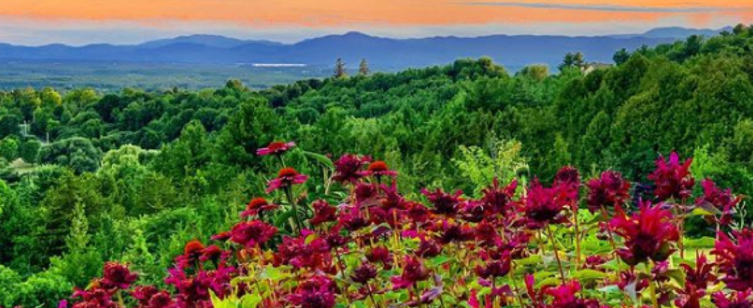 Bee's Wrap Reusable Beeswax Food Wraps - Sizes 595