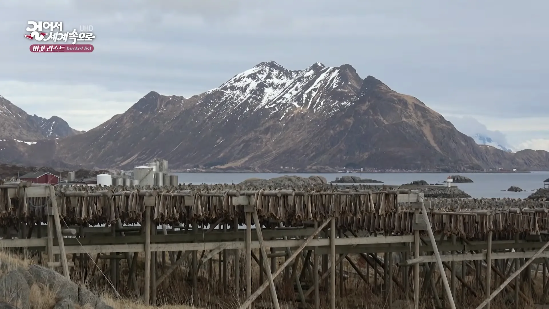 Viaje por carretera en Noruega: Cumbres de los fiordos y Ártico 204 Image